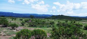 Land for Sale at Lake Elementaita Area - main view