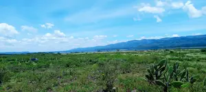 Land for Sale at Lake Elementaita Area