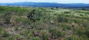 Land for Sale at Lake Elementaita Area