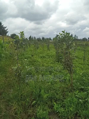 One Acre of Agricultural Land.
