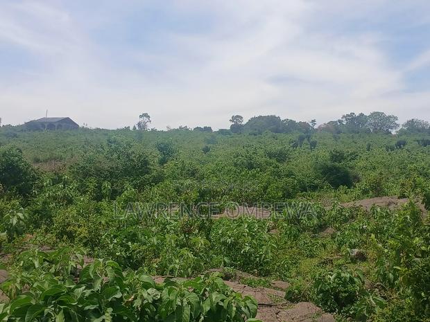 Beach Plot - thumbnail 3