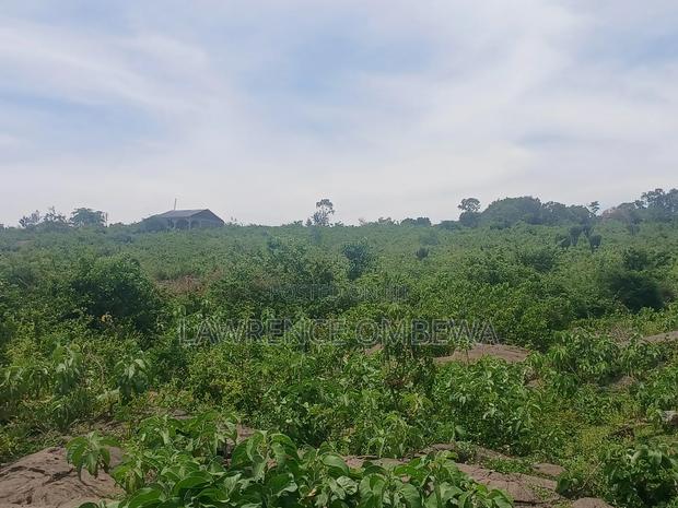 Beach Plot - thumbnail 4