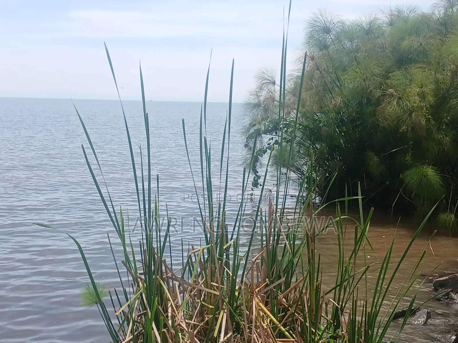 Beach Plot