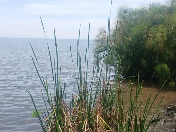 Beach Plot - thumbnail 6