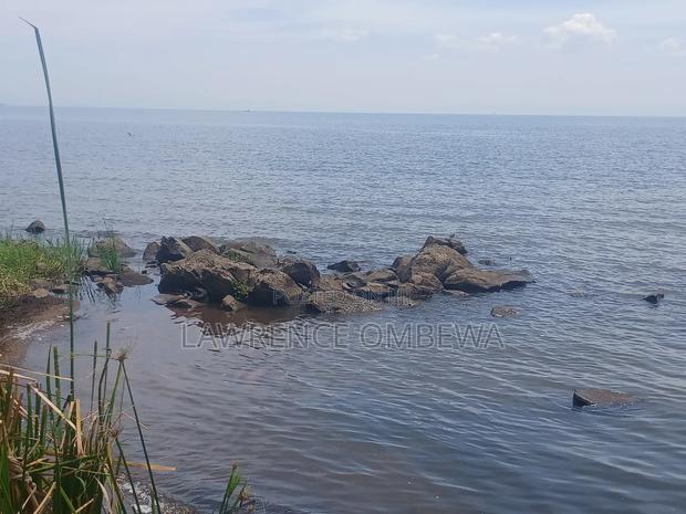 Beach Plot - thumbnail 7