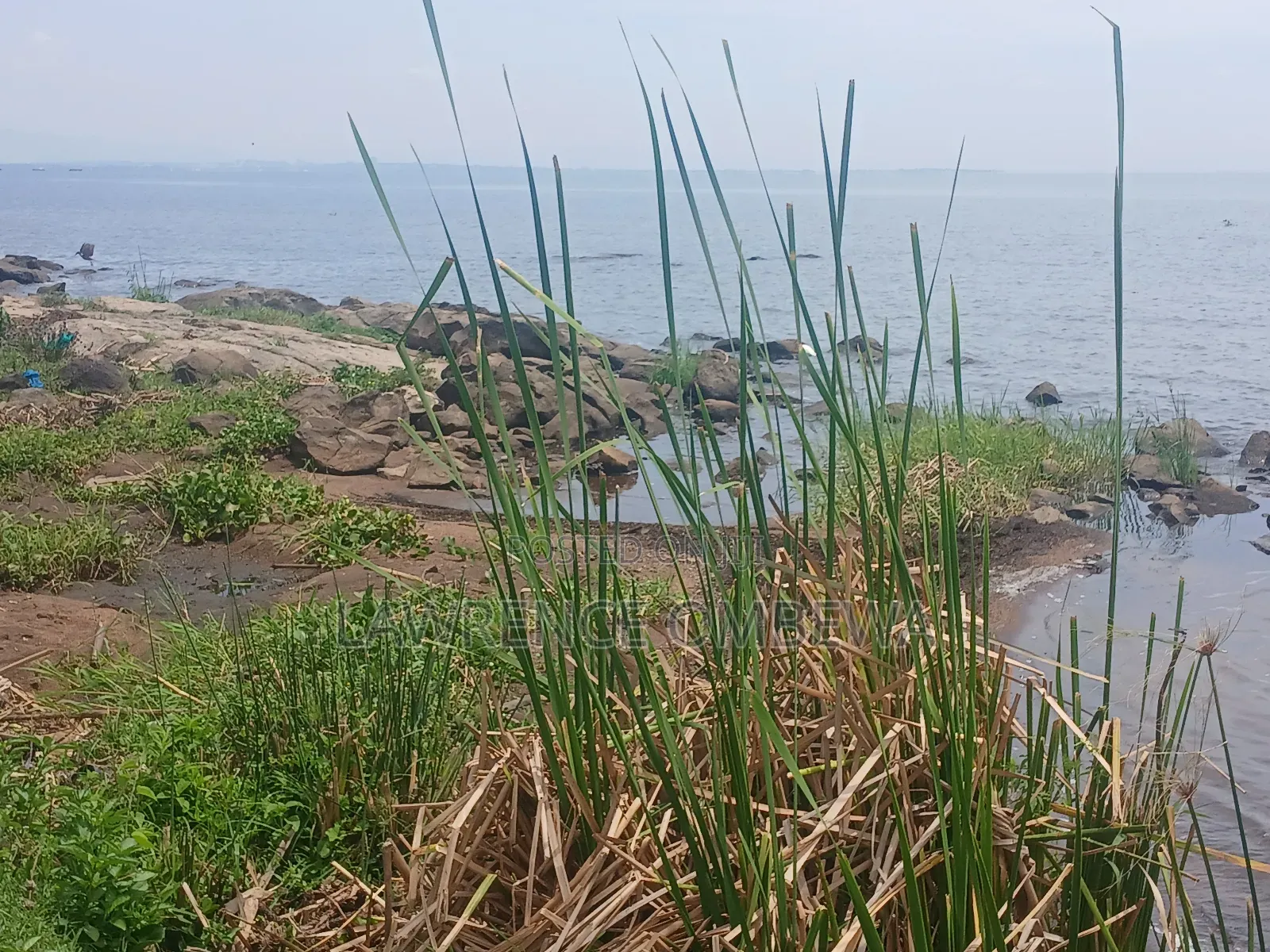 Beach Plot