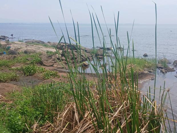 Beach Plot - thumbnail 8