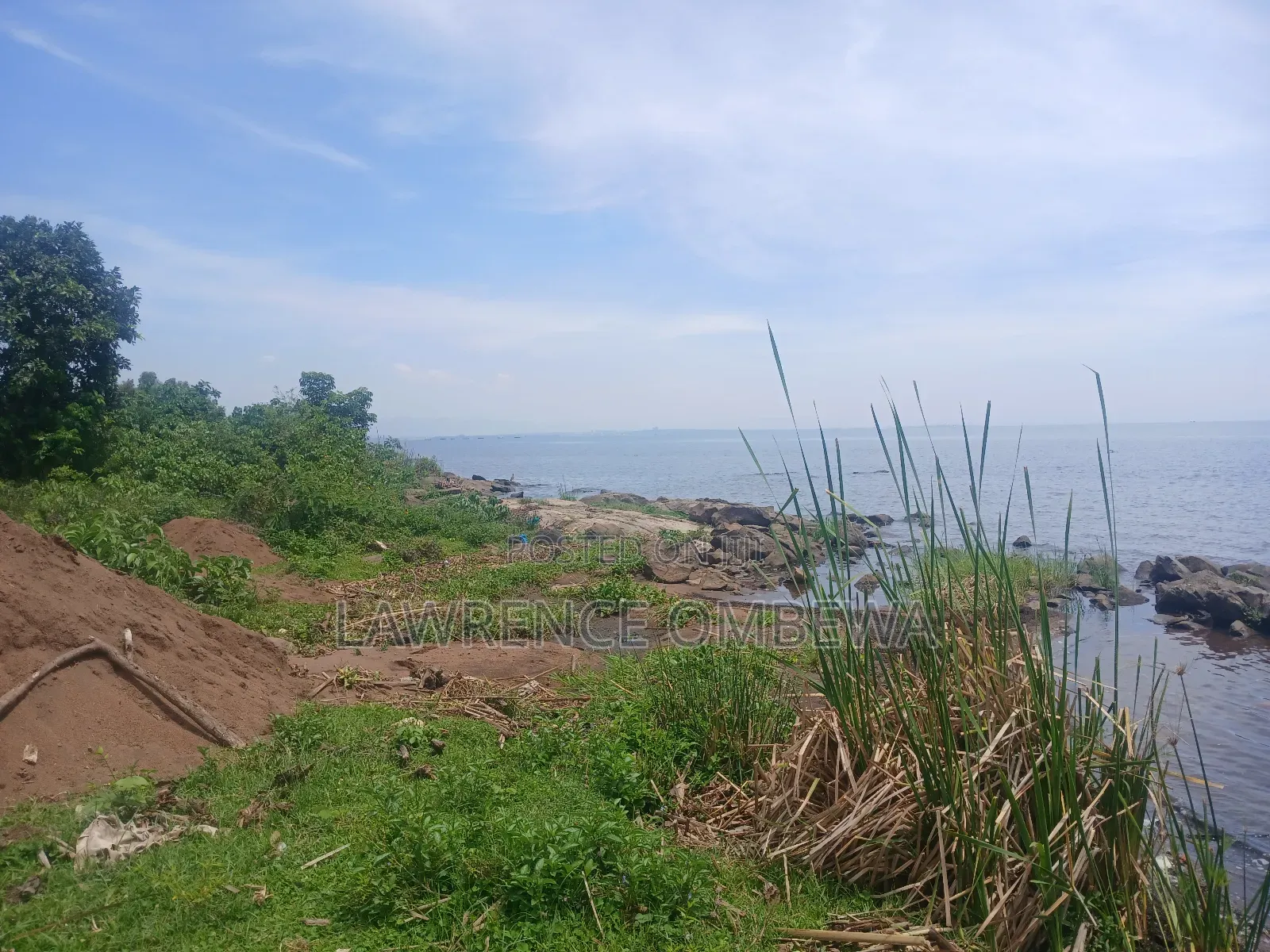 Beach Plot
