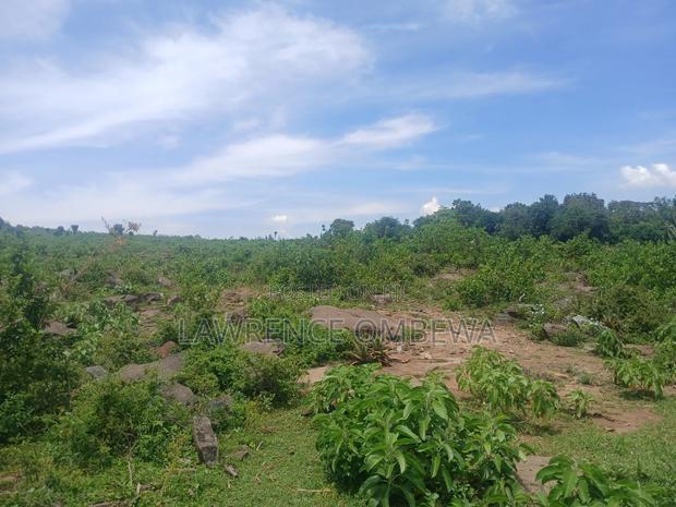 Beach Plot - thumbnail 11