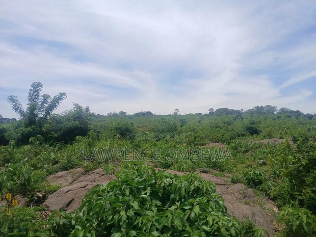 Beach Plot - thumbnail 13