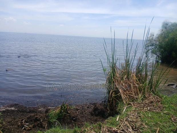 Beach Plot - thumbnail 15