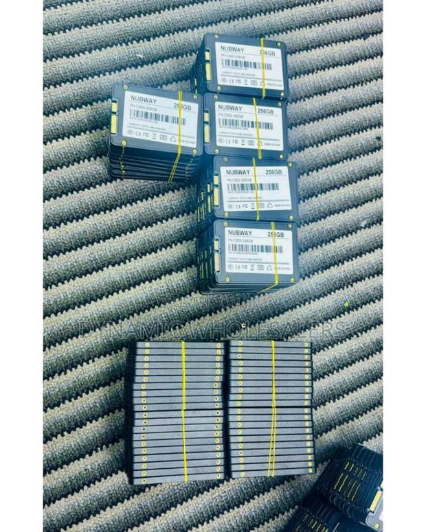 256gb Solid -State Drives (Ssd) - main view