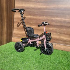 Happywheels Push Tricycle - thumbnail 2