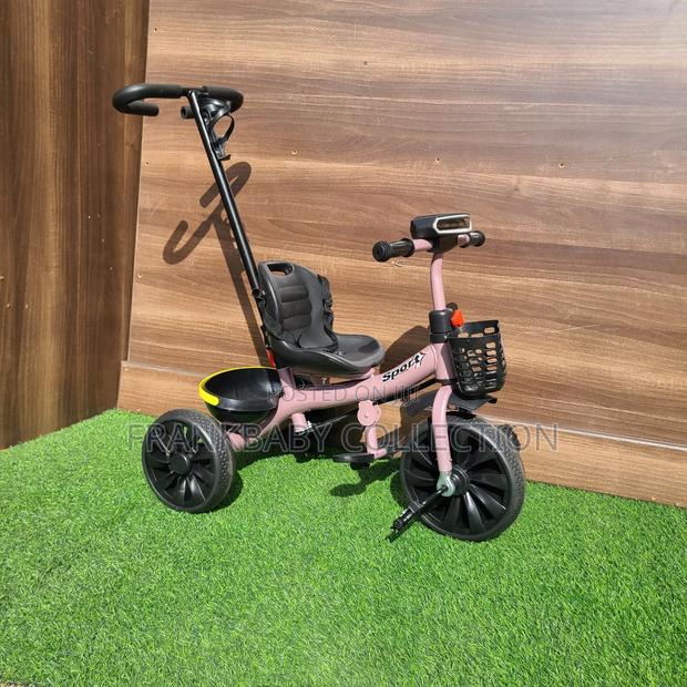 Happywheels Push Tricycle - main view