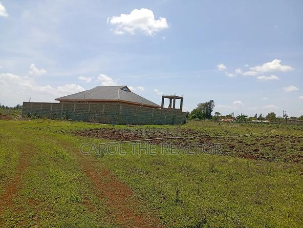 50 by 100 Plots in Sagana - main view