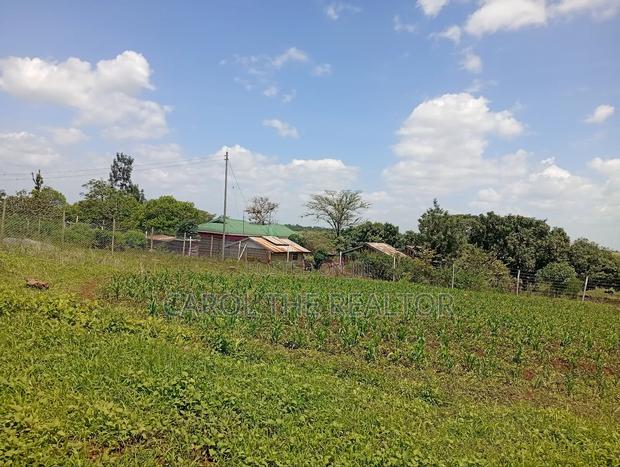 50 by 100 Plots in Sagana - thumbnail 2