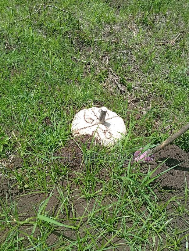 50 by 100 Plots in Sagana - thumbnail 3