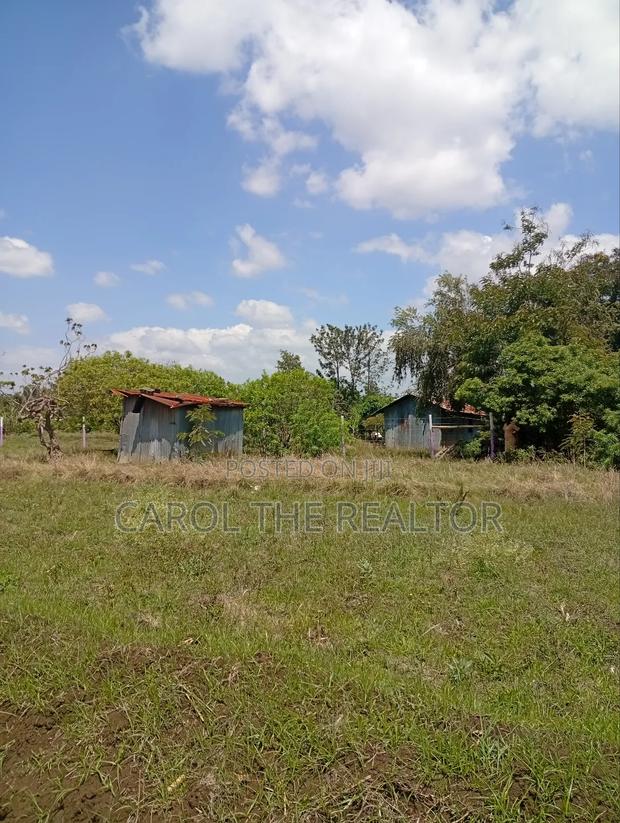 50 by 100 Plots in Sagana - thumbnail 4