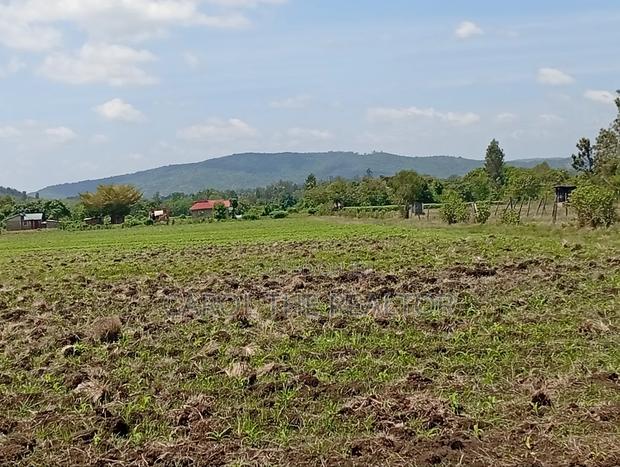 50 by 100 Plots in Sagana - thumbnail 5