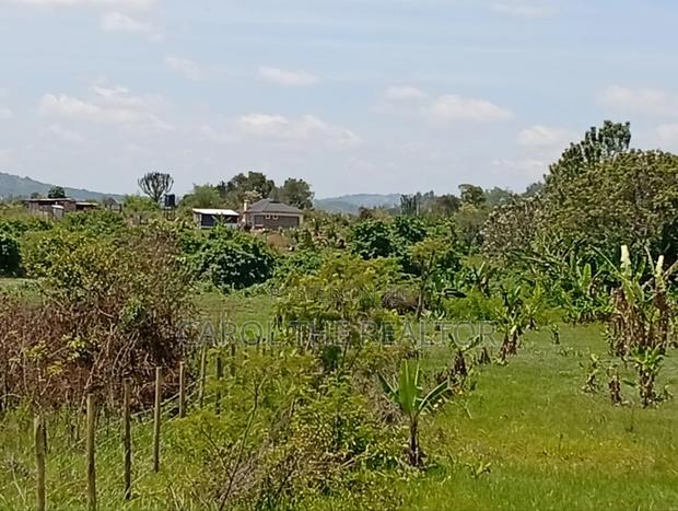50 by 100 Plots in Sagana - thumbnail 11