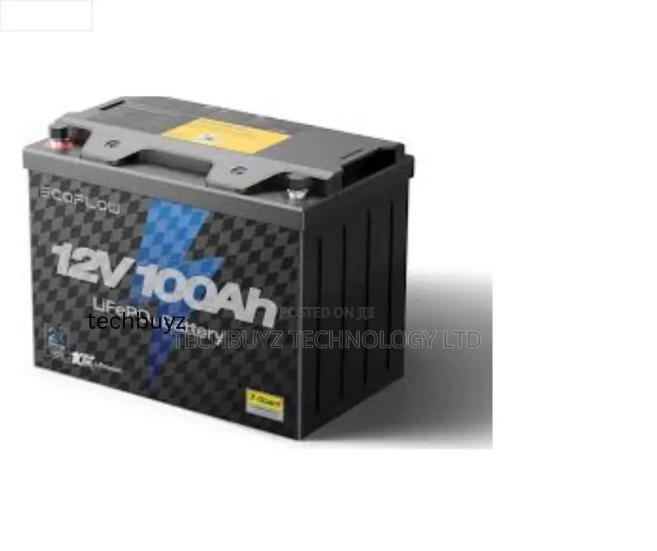 Ecoflow Lifepo4 Battery (Ef-pk-b12-1)
