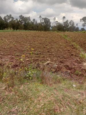 Land Fo Sale - thumbnail 2