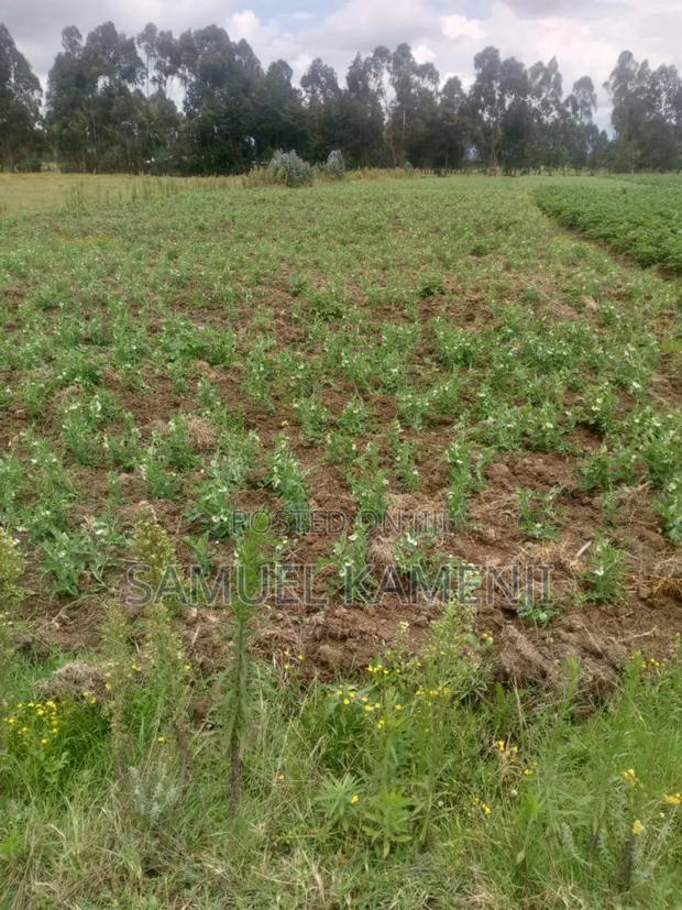 Land Fo Sale - thumbnail 3