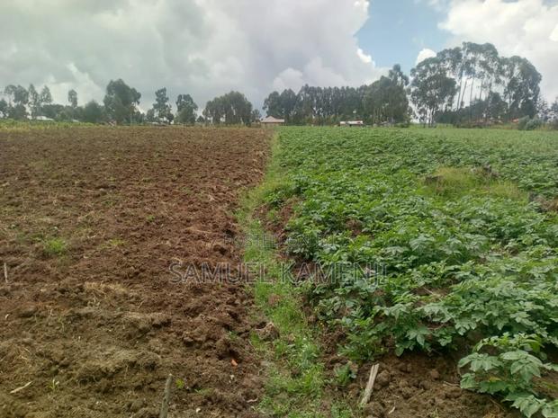 Land Fo Sale - thumbnail 5