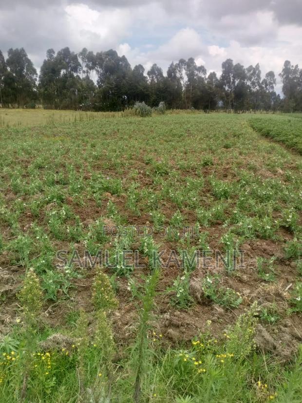 Land Fo Sale - thumbnail 6