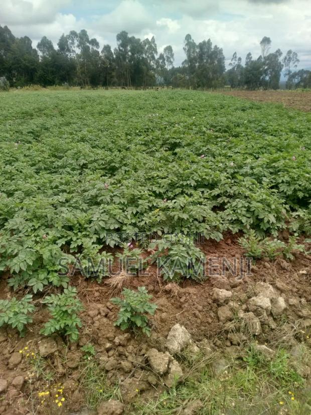 Land Fo Sale - thumbnail 7