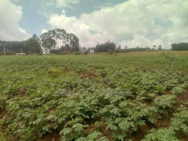 Land Fo Sale - thumbnail 8