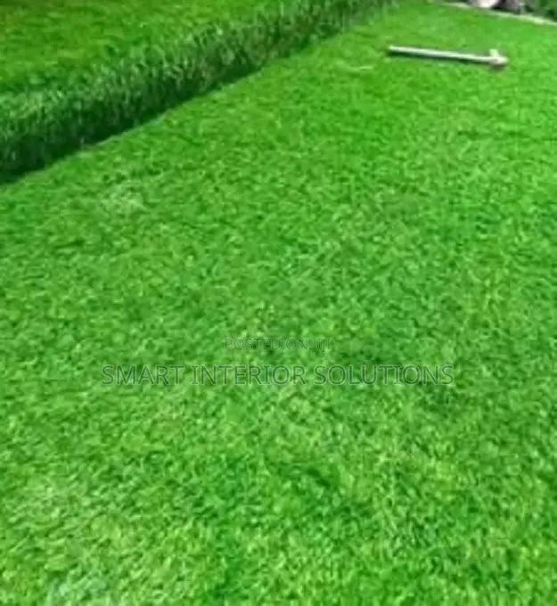 Premium Turf for Gardens and Courtyards – Tsavo Road, Odeon