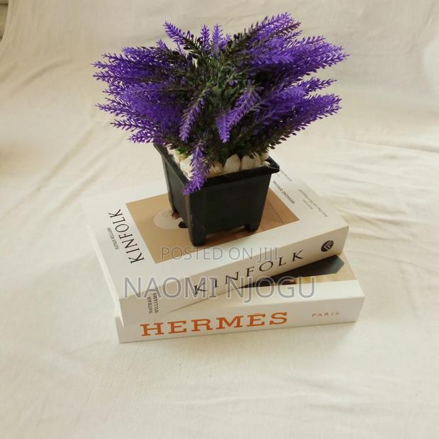 Beautiful Decor - thumbnail 3