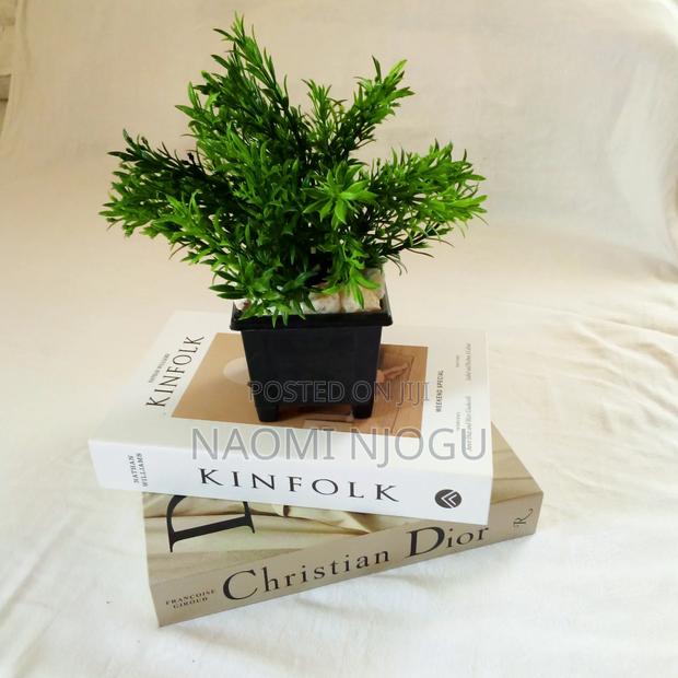 Beautiful Decor - thumbnail 7