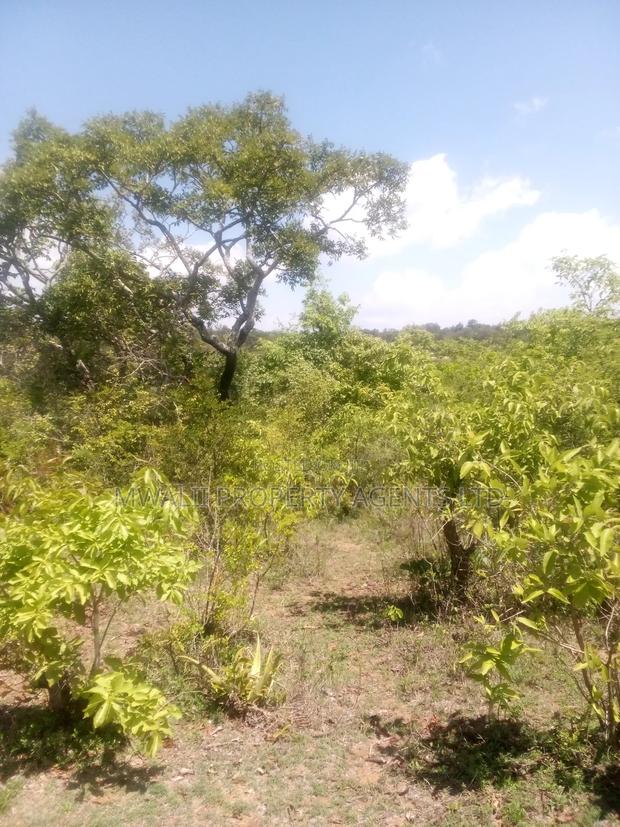 Mosa 11 Acre Farm