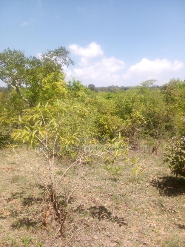 Mosa 11 Acre Farm - thumbnail 2