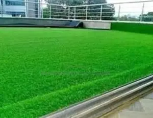 Living Green Artificial Grass Carpet