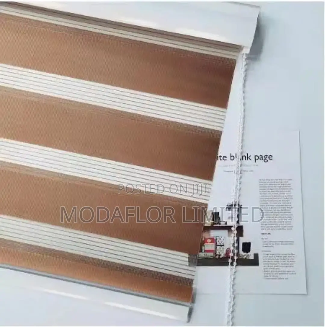 Modern Zebra Window Blinds for Home and Office