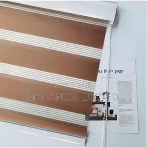 Modern Zebra Window Blinds for Home and Office