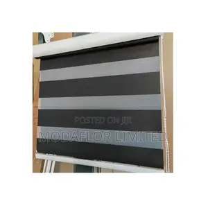 Day and Night Zebra Blinds _ Light Control Made Easy