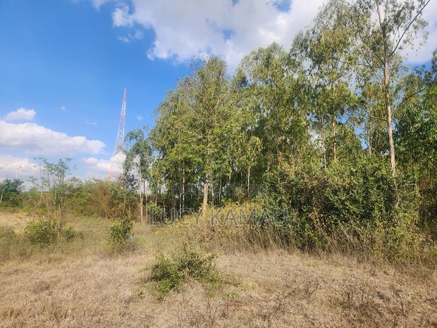 Prime Commercial 1 Acre Land in Kererapon - thumbnail 4