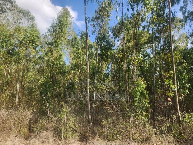 Prime Commercial 1 Acre Land in Kererapon - thumbnail 5