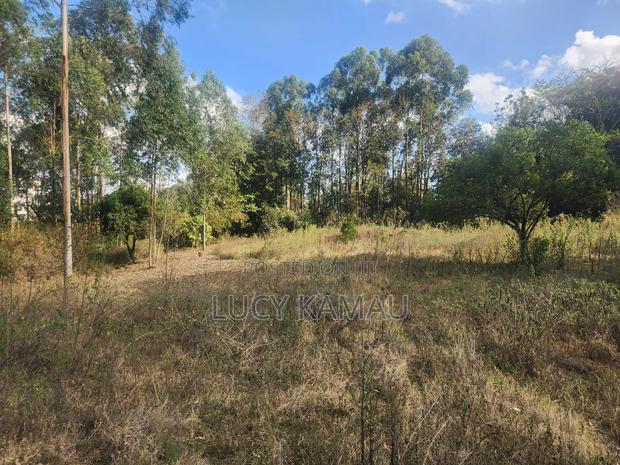 Prime Commercial 1 Acre Land in Kererapon - thumbnail 6