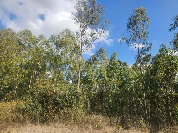 Prime Commercial 1 Acre Land in Kererapon - thumbnail 7