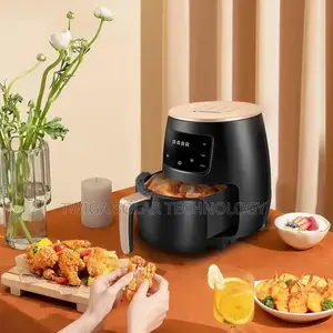 Electric Air Fryer