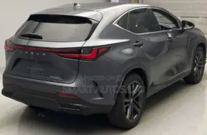 Lexus NX 300h 2020 Gray