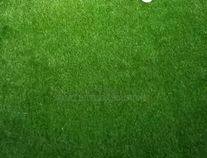 Luxurious Artificial Grass Carpet