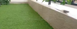 Quality Synthetic Lawn for Any Project – Tsavo Road, Odeon