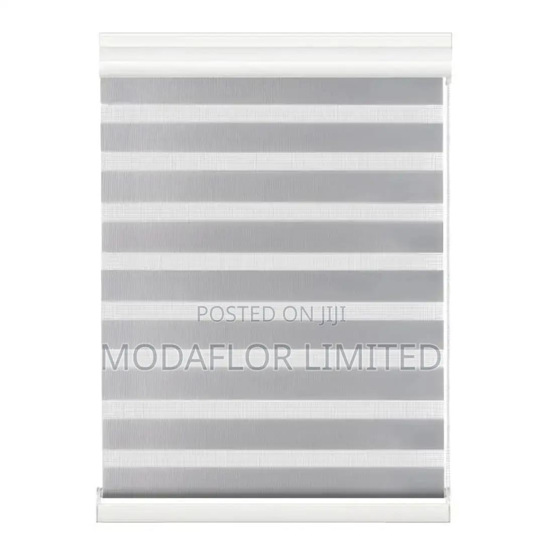 Double Layer Zebra Shades for Living Room