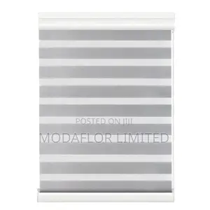 Double Layer Zebra Shades for Living Room